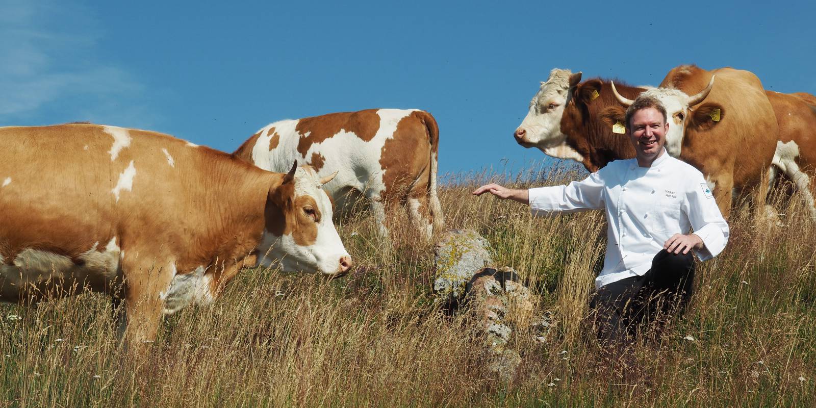 Volker Hupfer bei den Kühen auf der Wiese