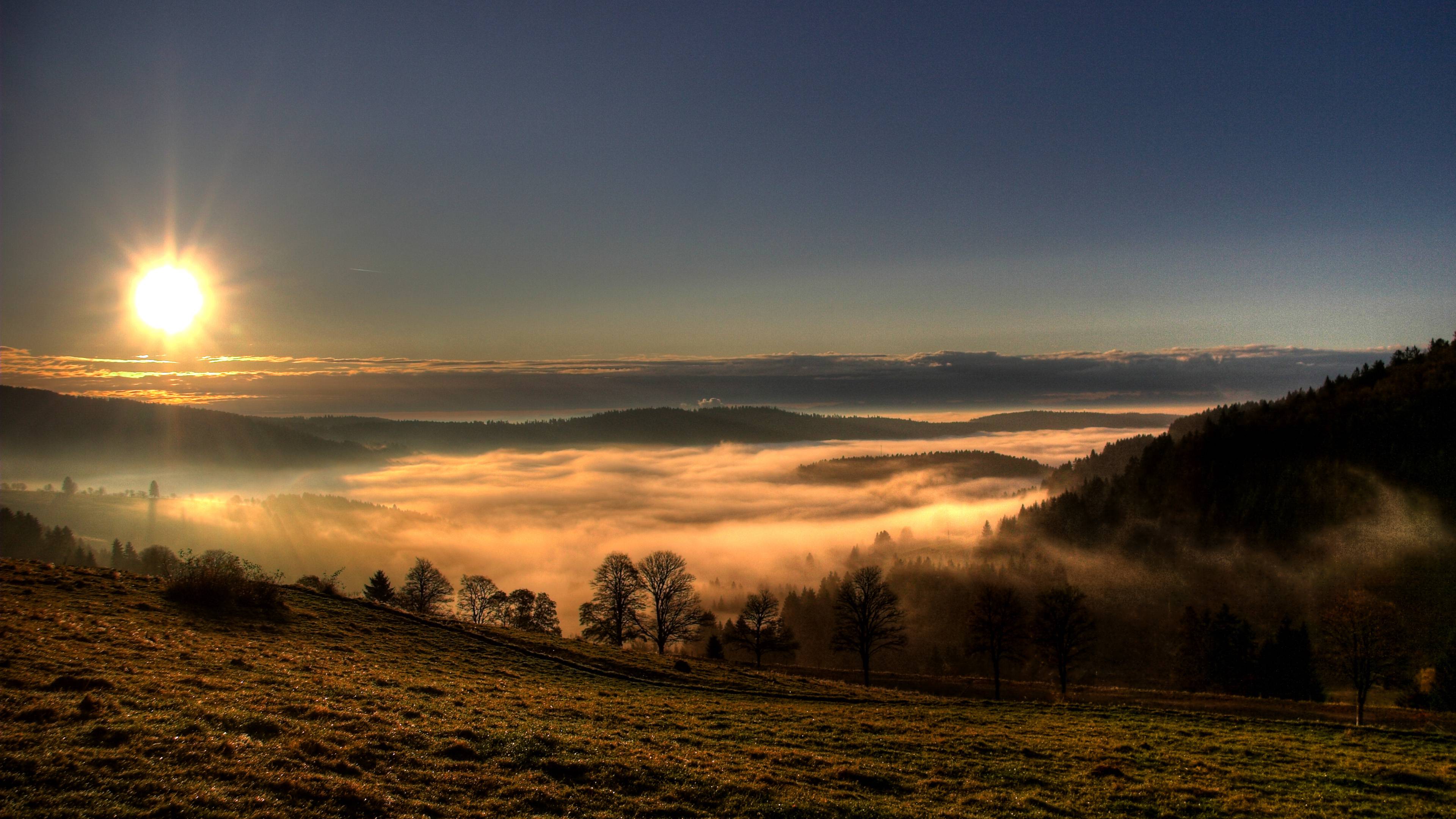 Nebel im Schwarzwald
