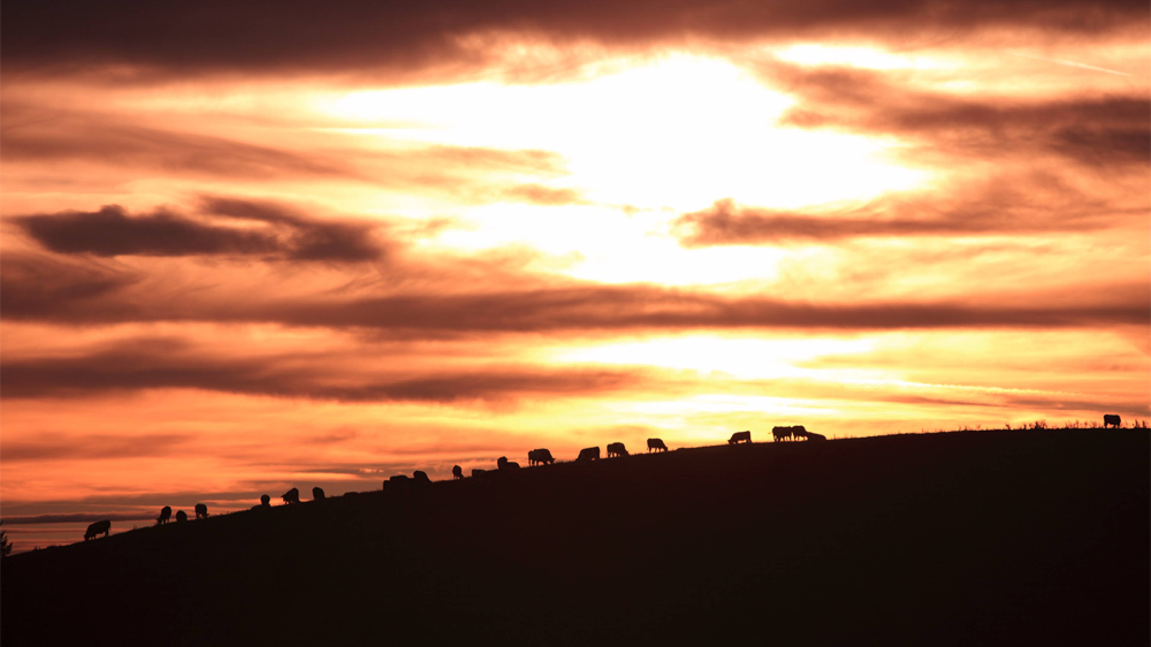 Sonnenaufgang über Herrenschwand