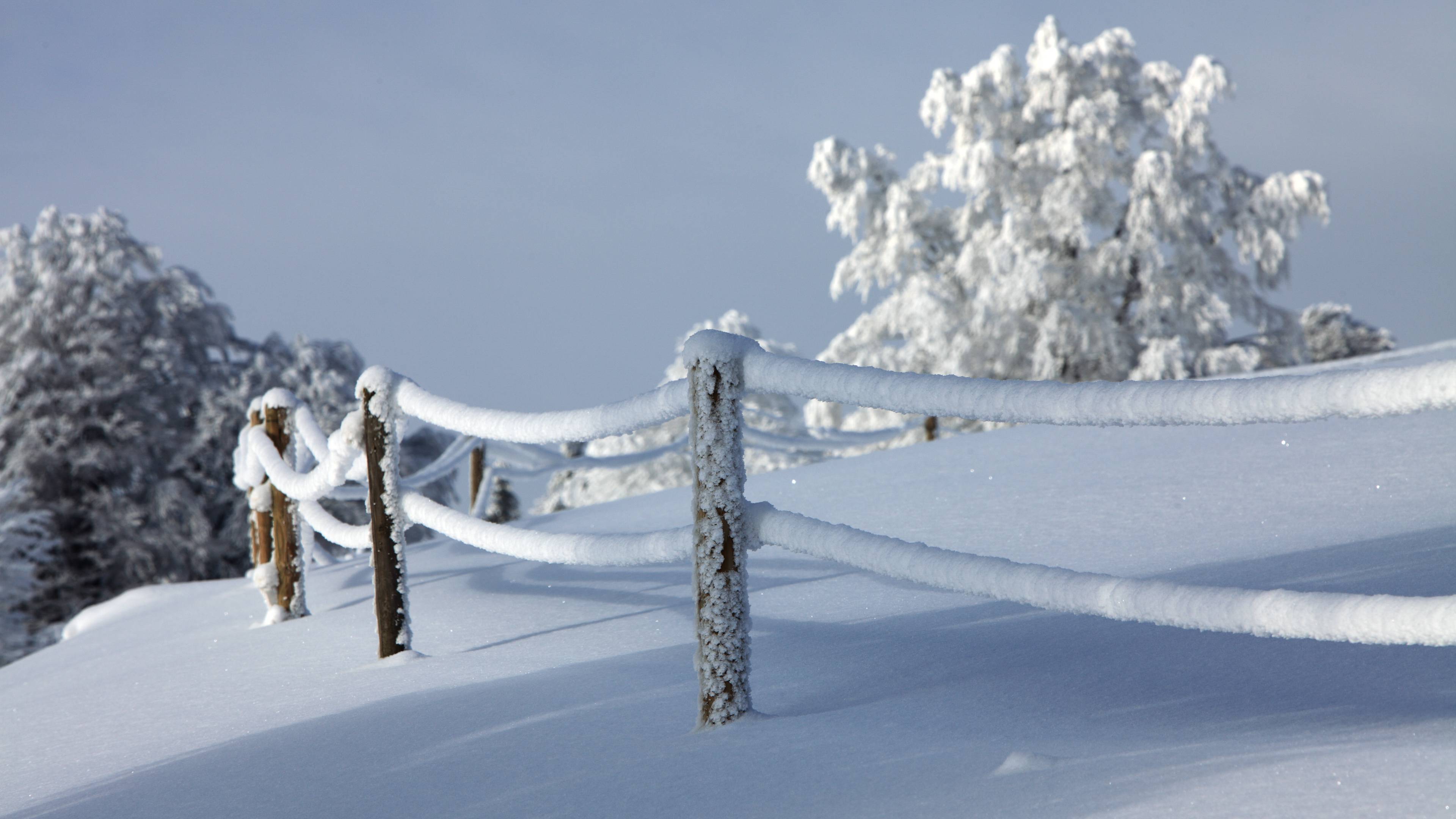 Verschneite Landschaft