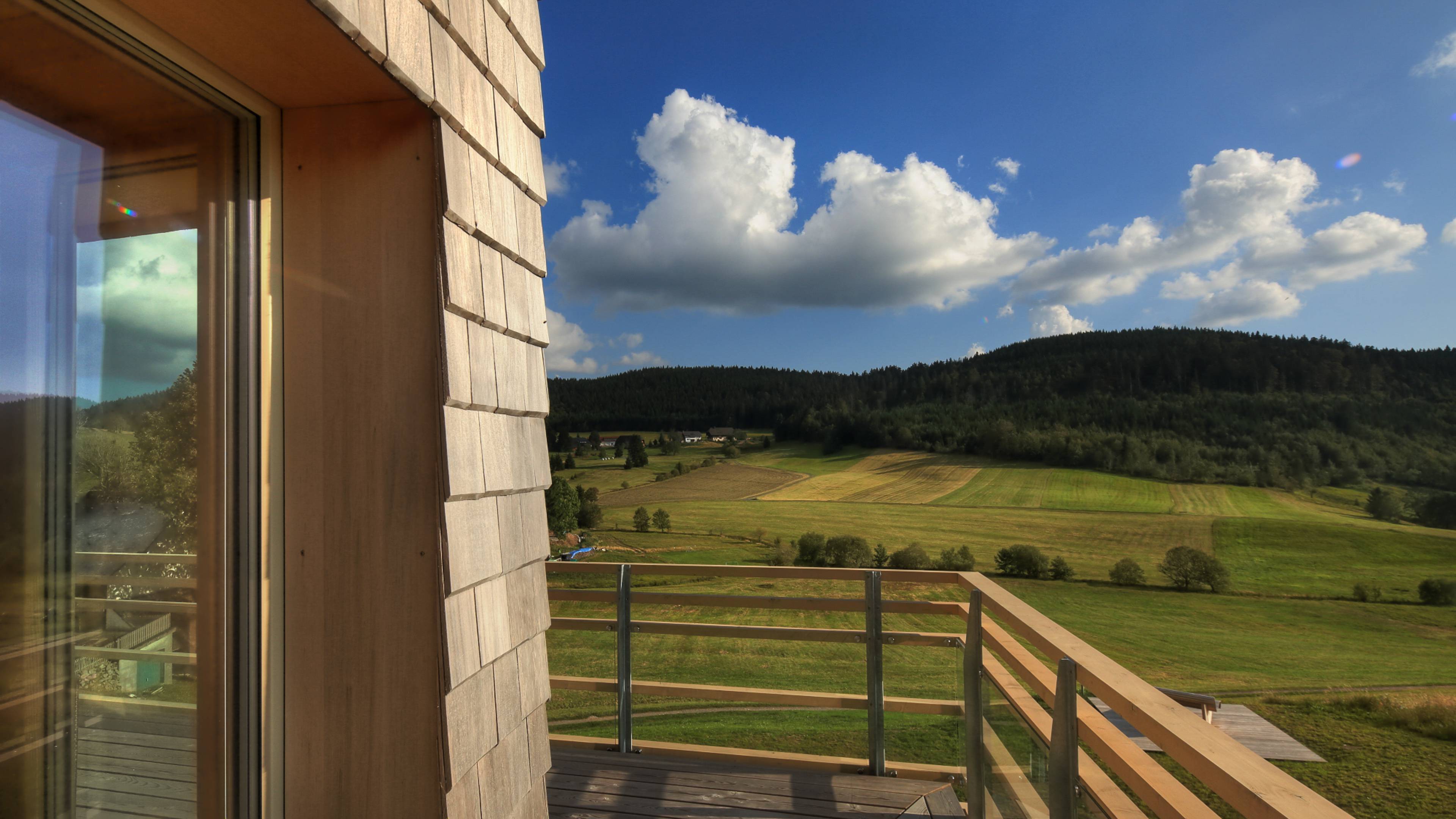 Blick auf Herrenschwand vom Balkon 