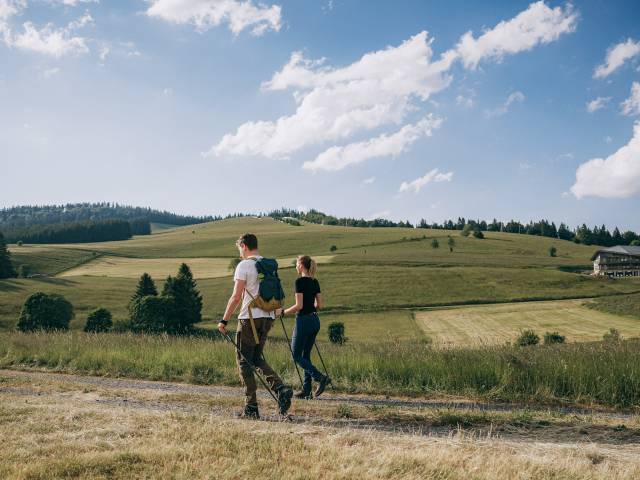 Paar beim Nordic Walken in Herrenschwand