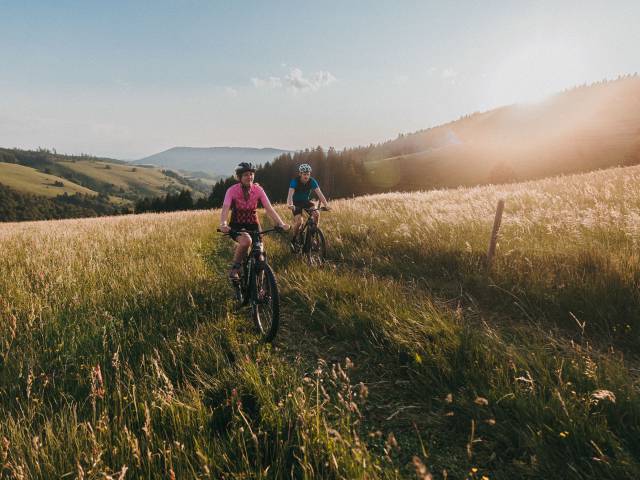 Paar auf Mountainbikes auf der Wiese
