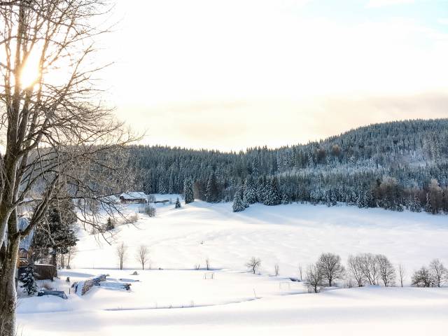 Herrenschwand verschneit