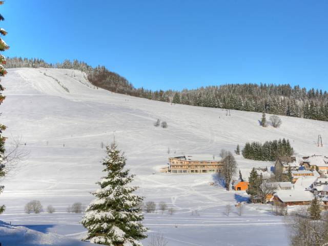 Herrenschwand im Winter