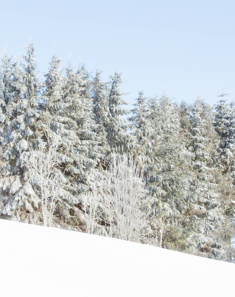 Blick aus dem Fenster auf eine verschneite Landschaft