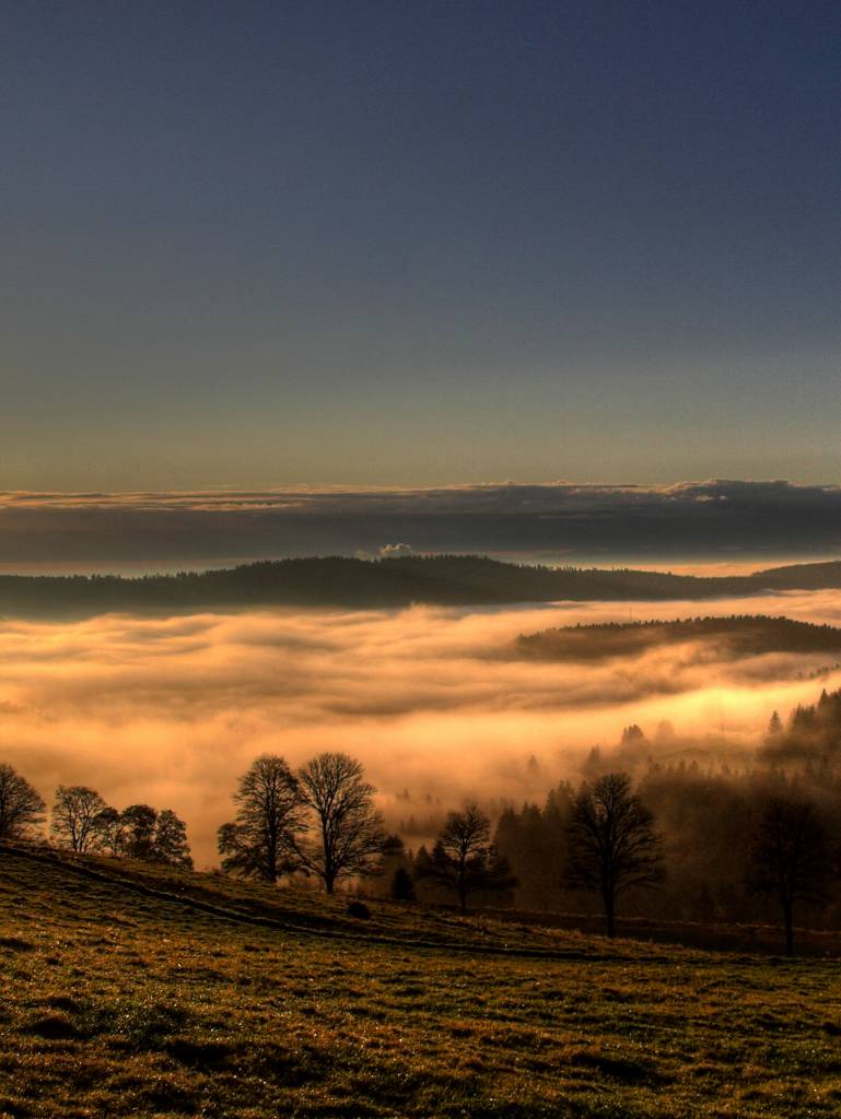 Nebel im Schwarzwald