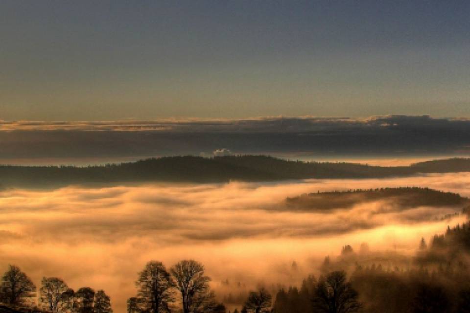Nebelige Schwarzwaldlandschaft am Morgen