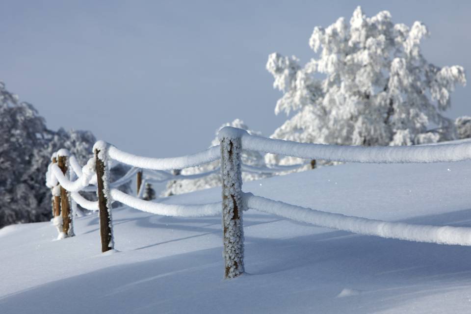 Verschneite Landschaft