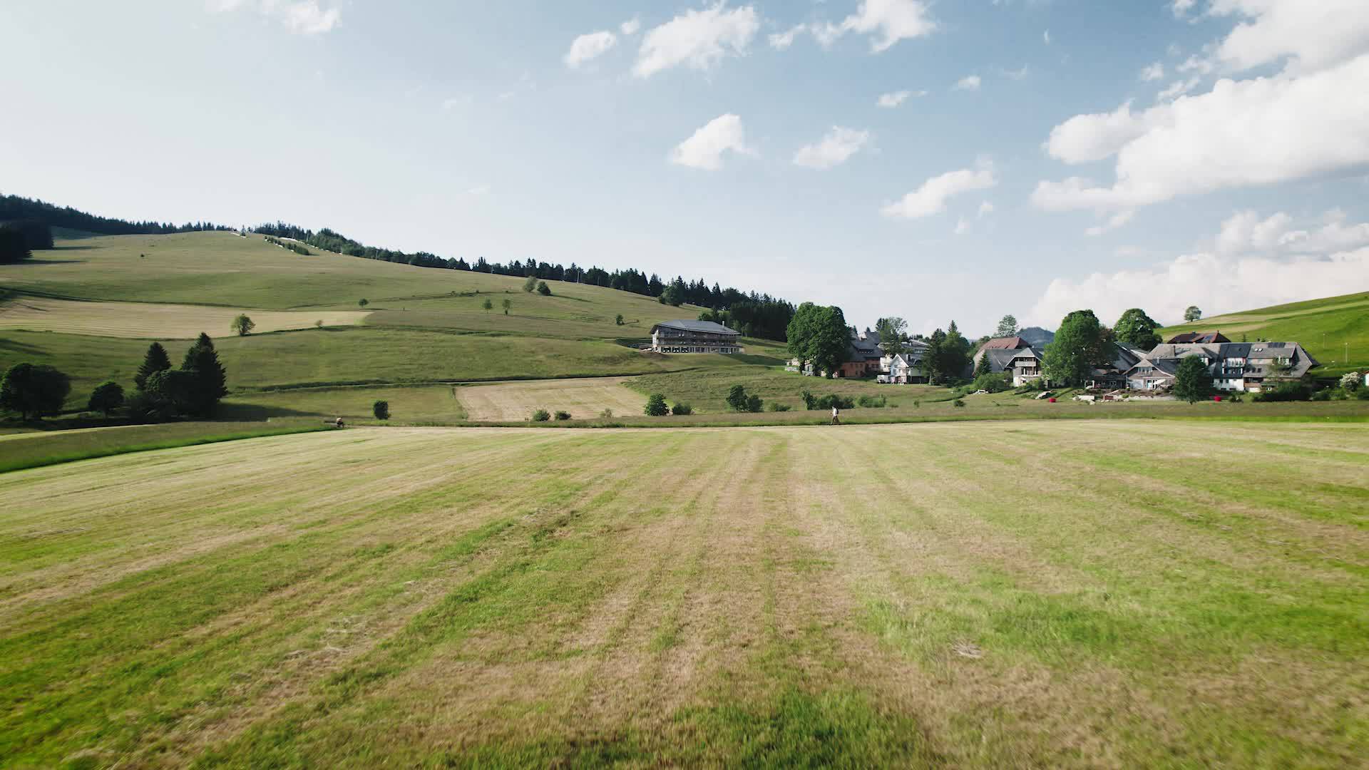 derWaldfrieden Imagevideo